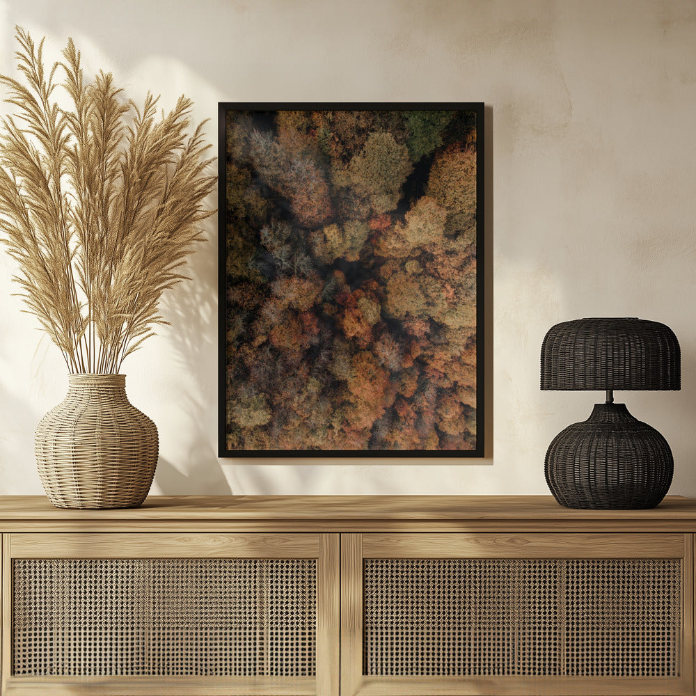 Plakat - Autumn Forest 14