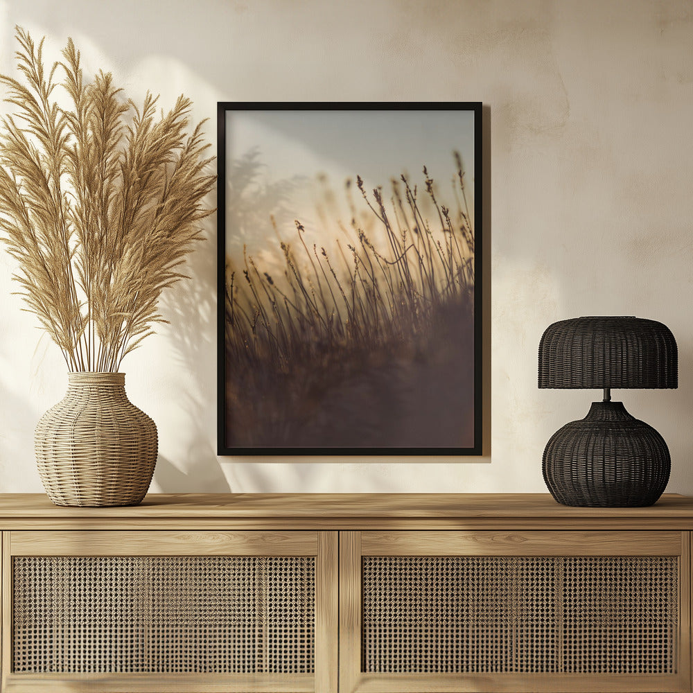 Plakat - Morning Grass Filelds 08