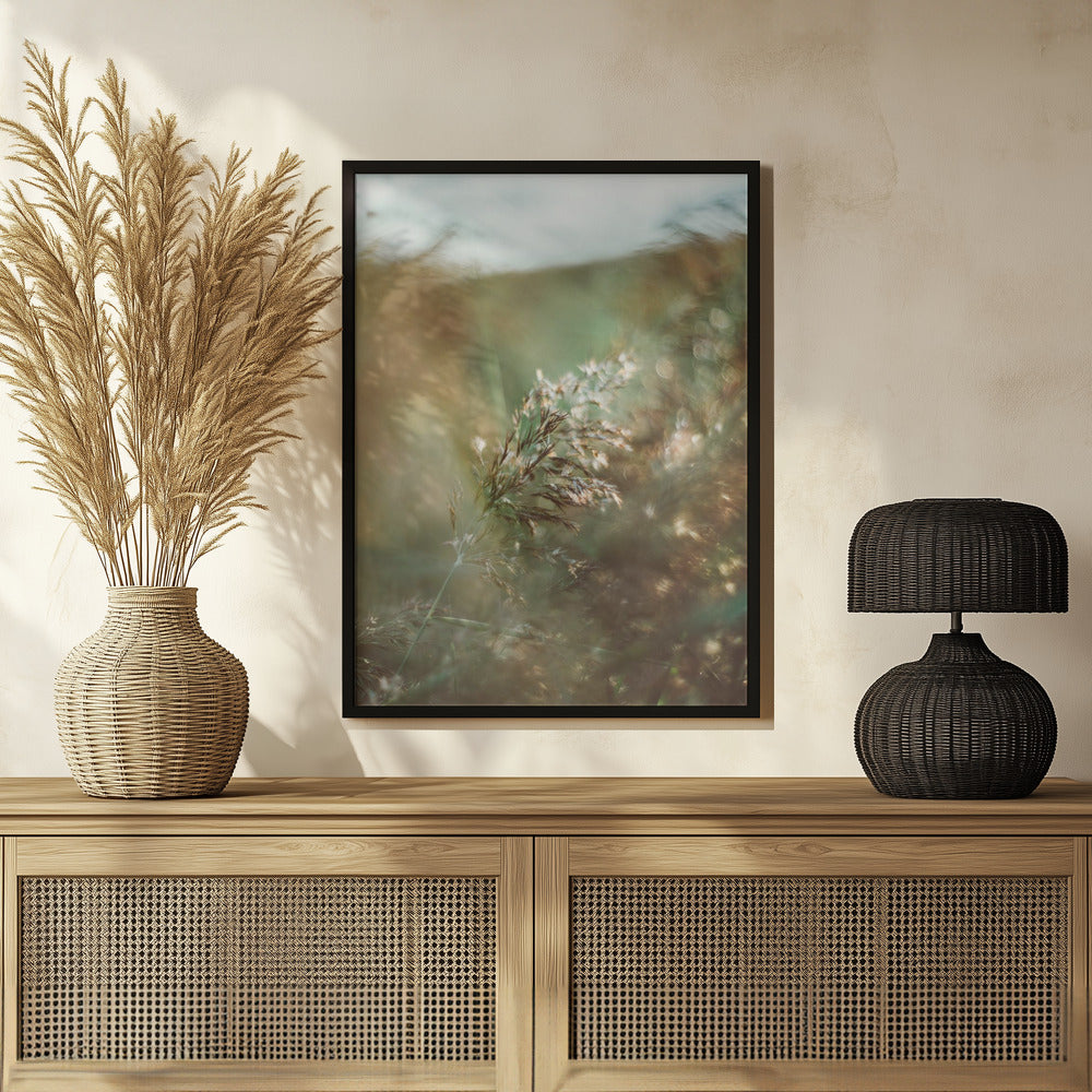 Plakat - Morning Grass Filelds 14 - Admen.dk