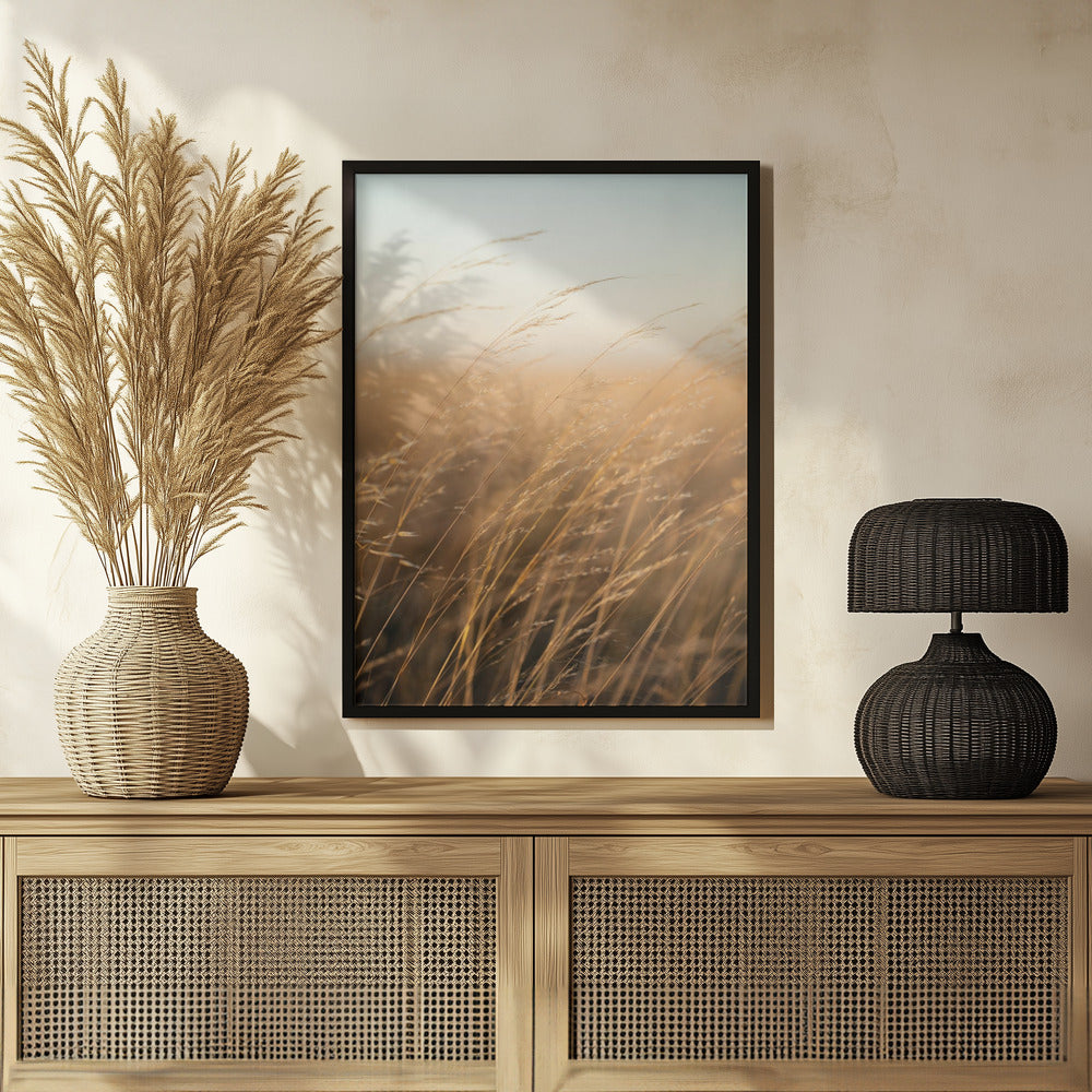 Plakat - Morning Grass Filelds 17