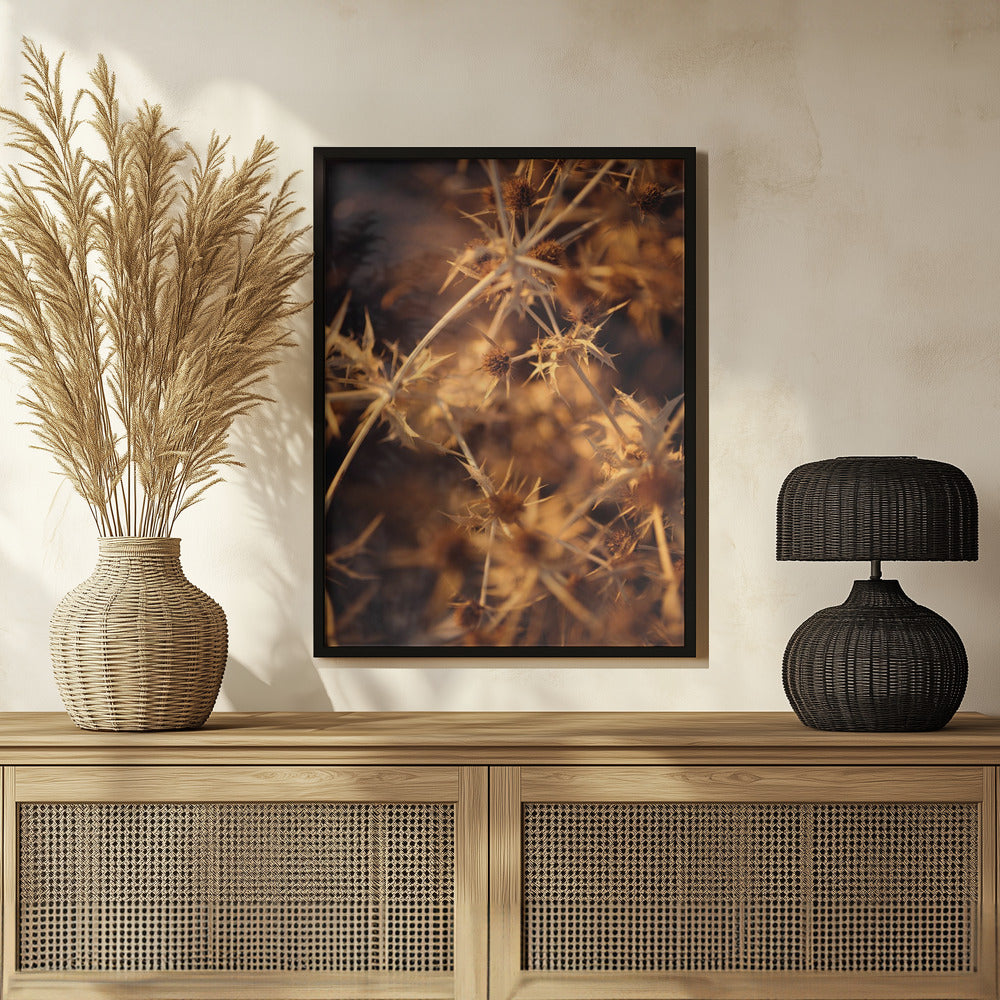 Plakat - Plants and Flowers 04