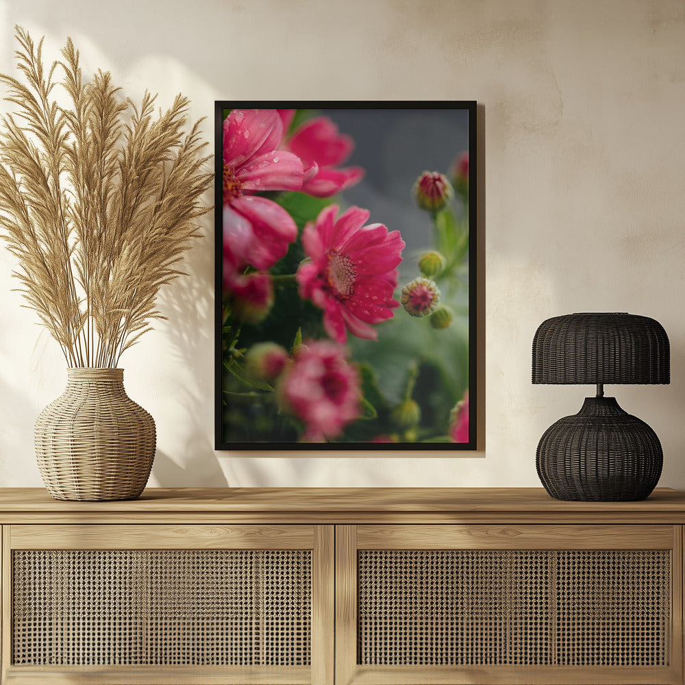 Plakat - Red Flowers 8