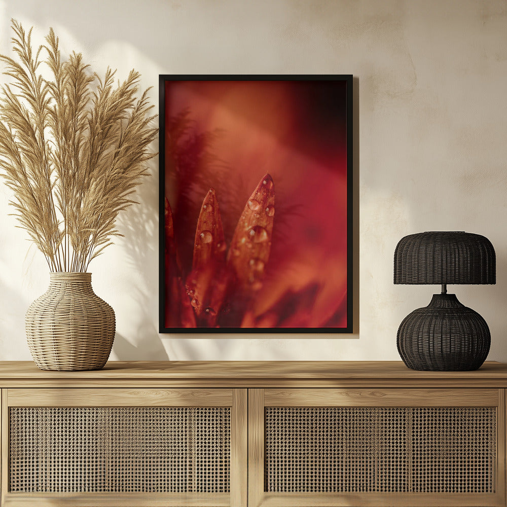 Plakat - Red Flowers 13