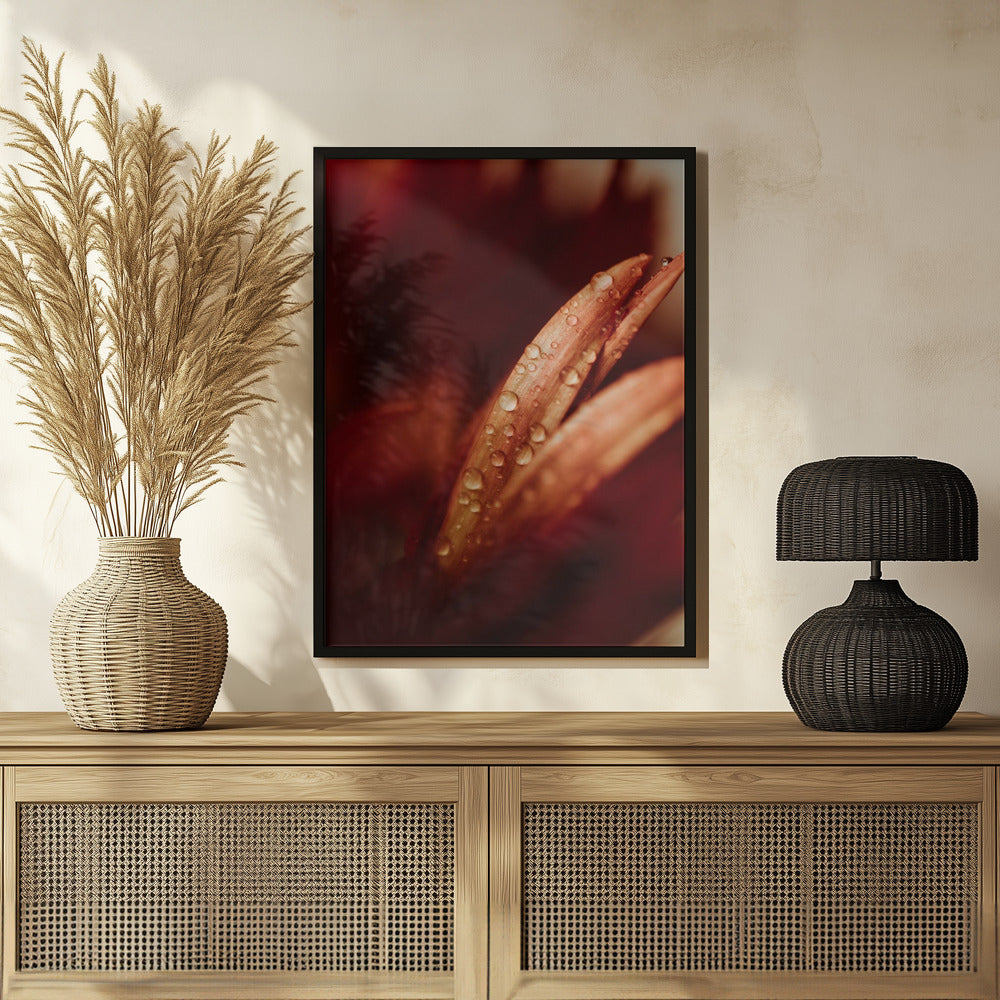 Plakat - Red Flowers 16
