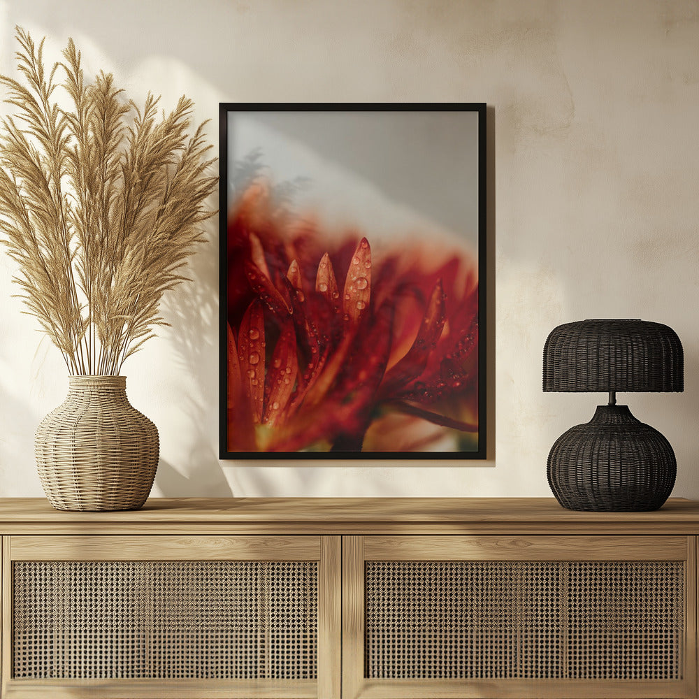 Plakat - Red Flowers 22