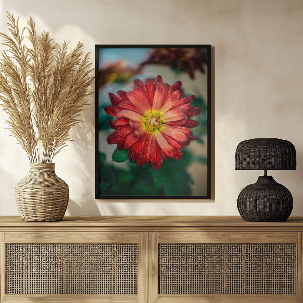 Plakat - Red Flowers 32