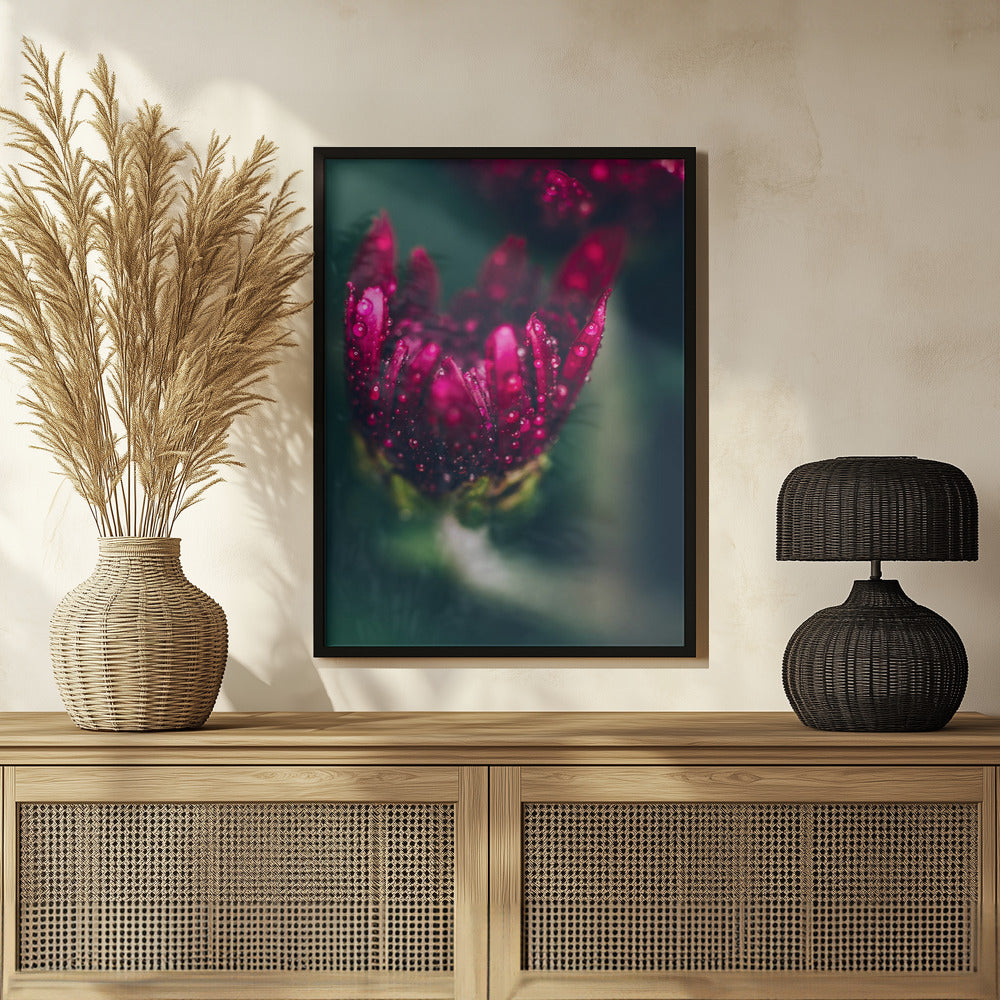 Plakat - Red Flowers 37