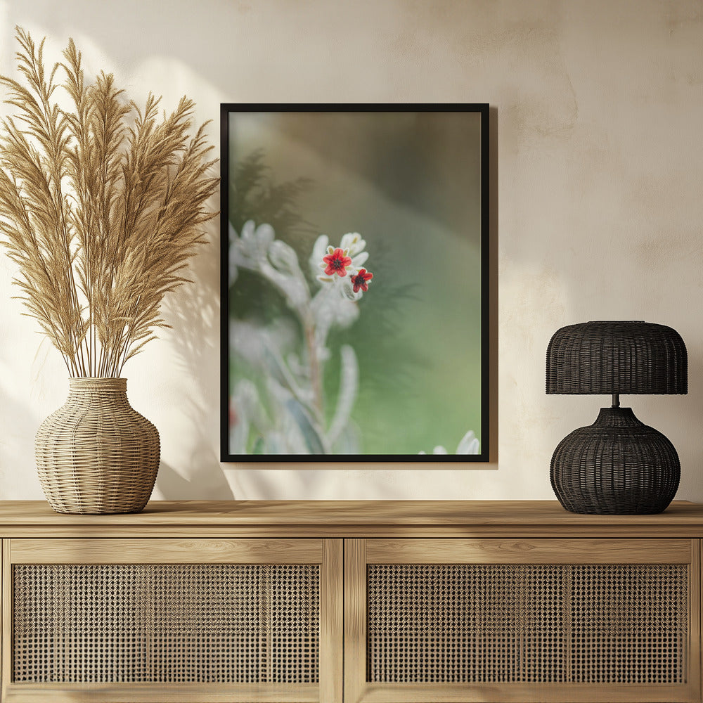Plakat - Red Flowers 50
