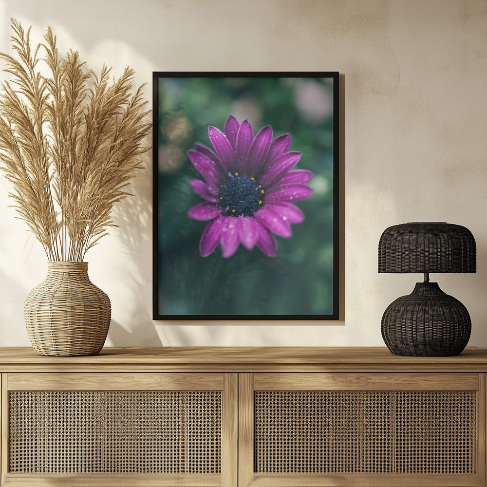 Plakat - Purple Flowers 07 - Admen.dk