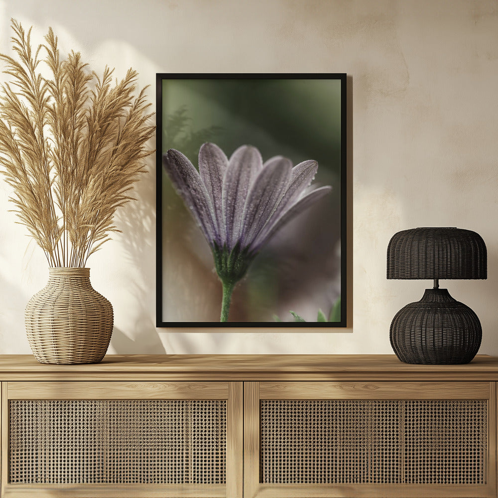 Plakat - Purple Flowers 16