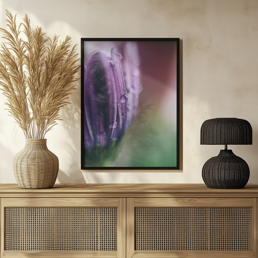Plakat - Purple Flowers 04