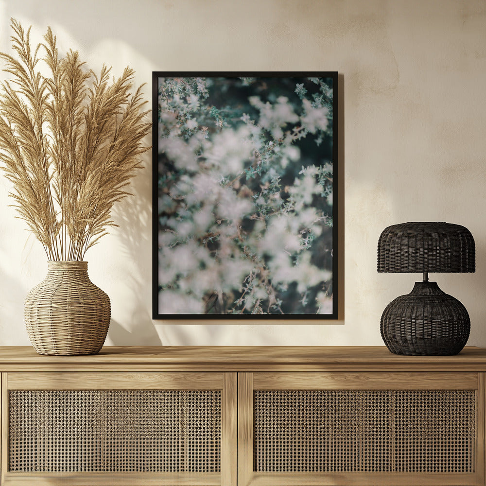 Plakat - White Flowers 13