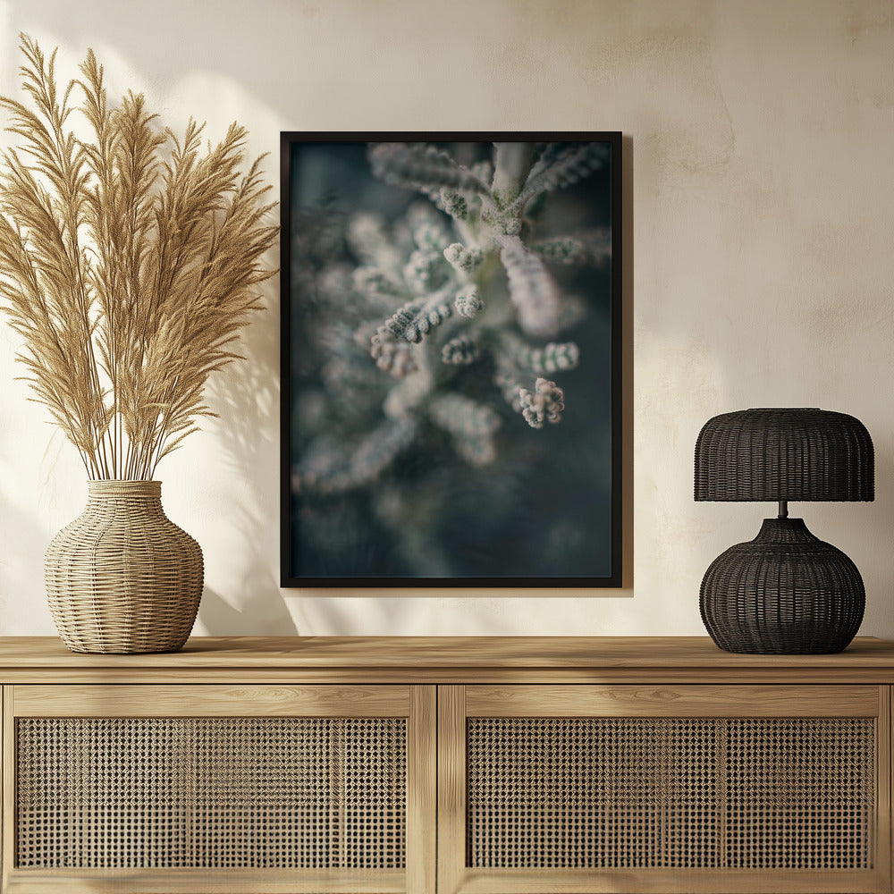 Plakat - White Flowers 14 - Admen.dk