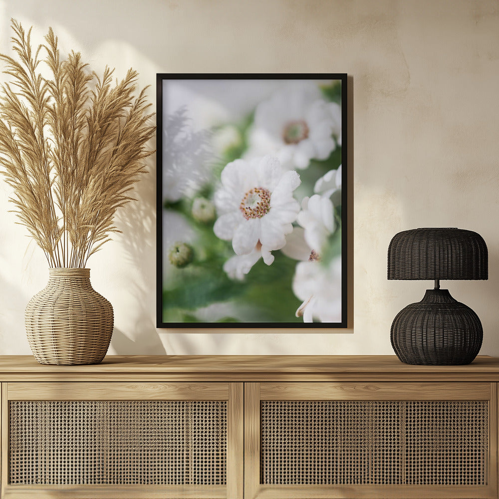 Plakat - White Flowers 15 - Admen.dk