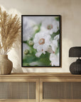 Plakat - White Flowers 15 - Admen.dk