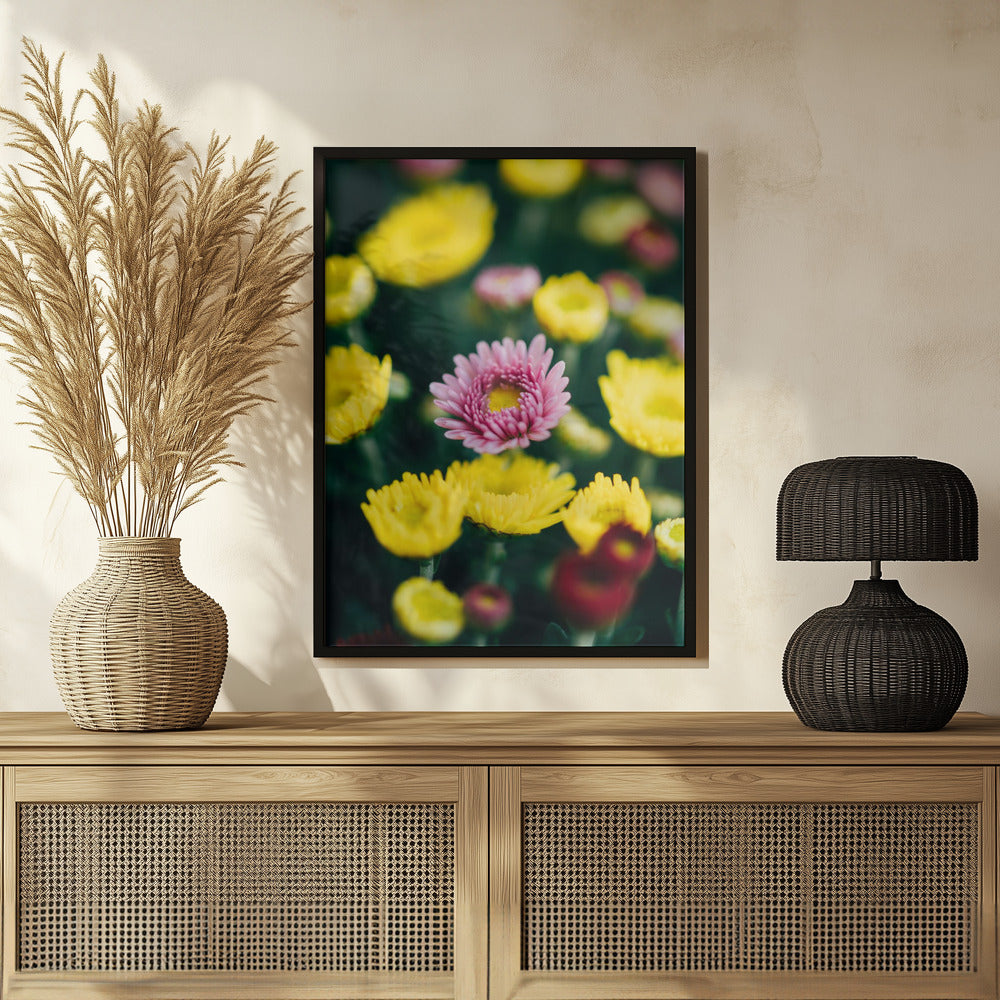 Plakat - Summer Flowers 4 - Admen.dk