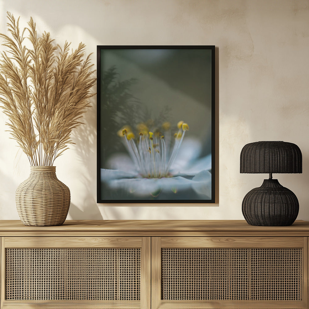 Plakat - Summer Flowers 12 - Admen.dk