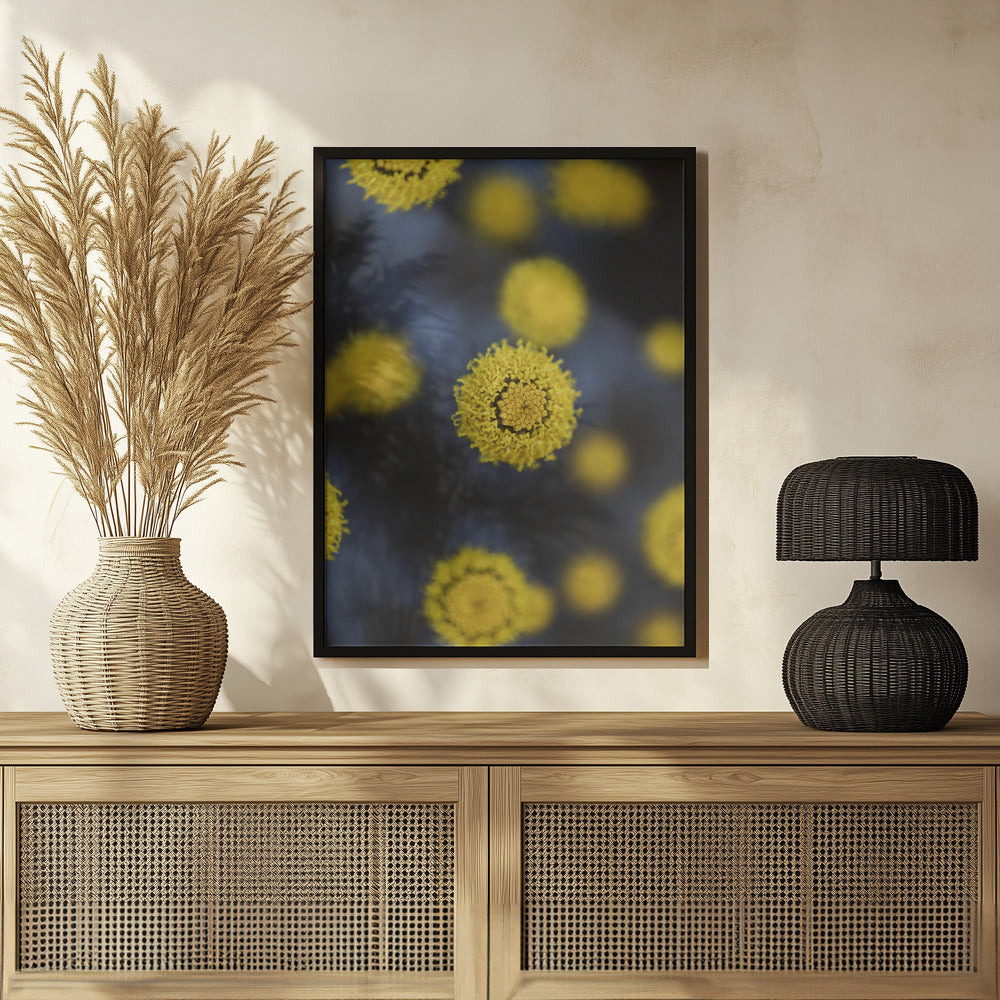 Plakat - Summer Flowers 24