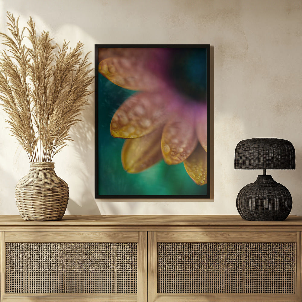 Plakat - Summer Flowers 32