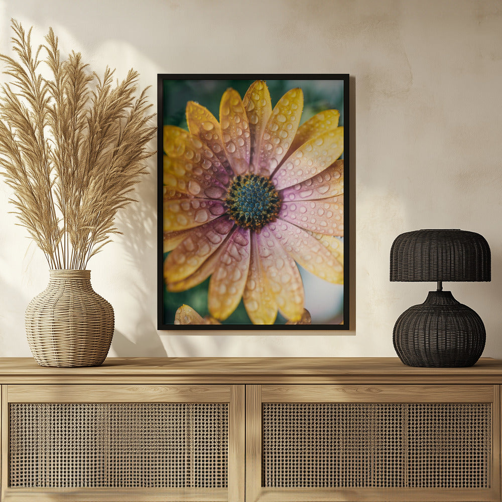 Plakat - Summer Flowers 34