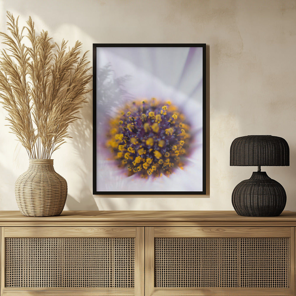 Plakat - Summer Flowers 37 - Admen.dk