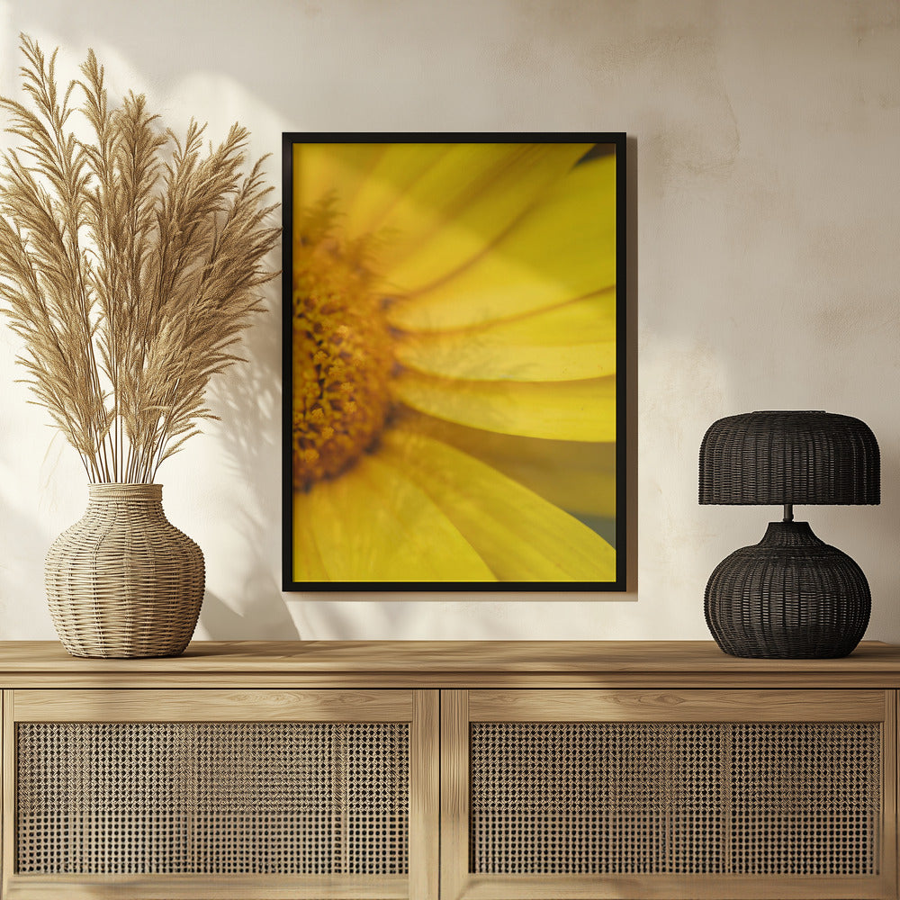 Plakat - Summer Flowers 42