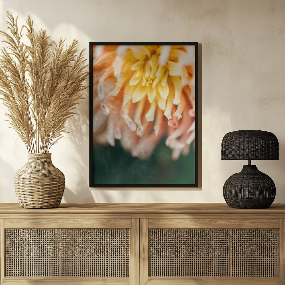 Plakat - Summer Flowers 46