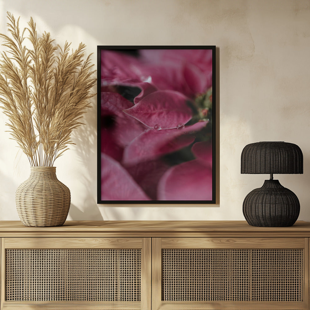 Plakat - Summer Flowers 67