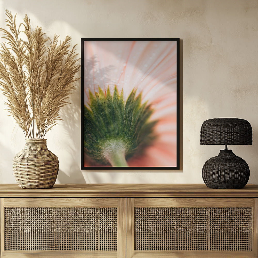Plakat - Summer Flowers 91