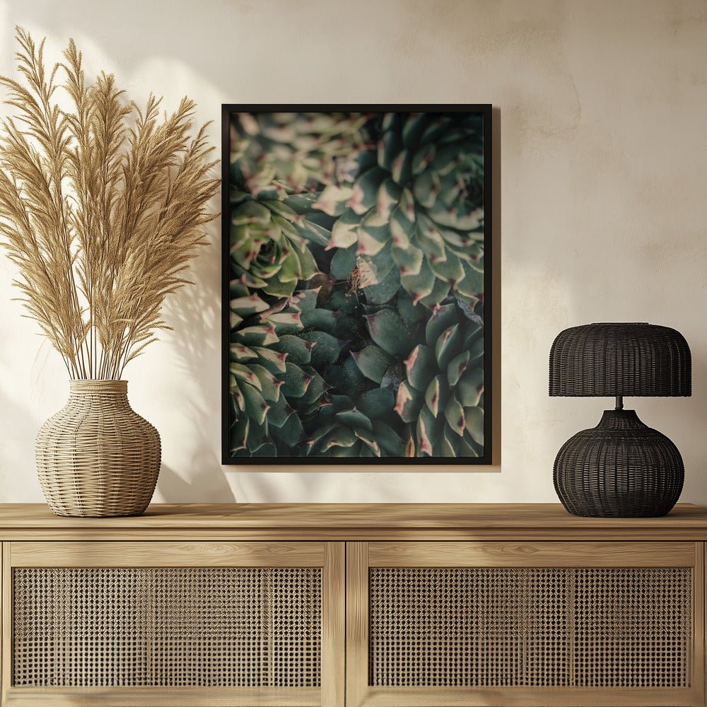Plakat - Green Plants 6 - Admen.dk