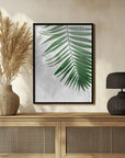 Plakat - Plants 5