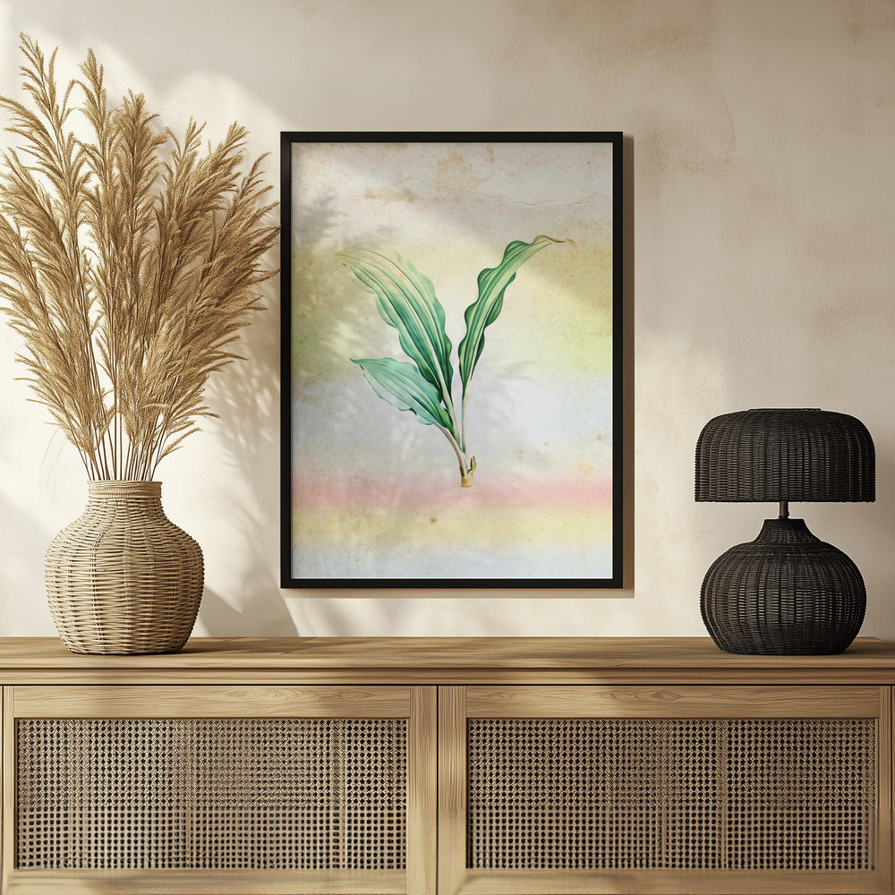 Plakat - Plants 31