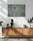Plakat - Teasel
