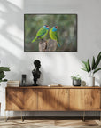 Plakat - Blue-throated barbet