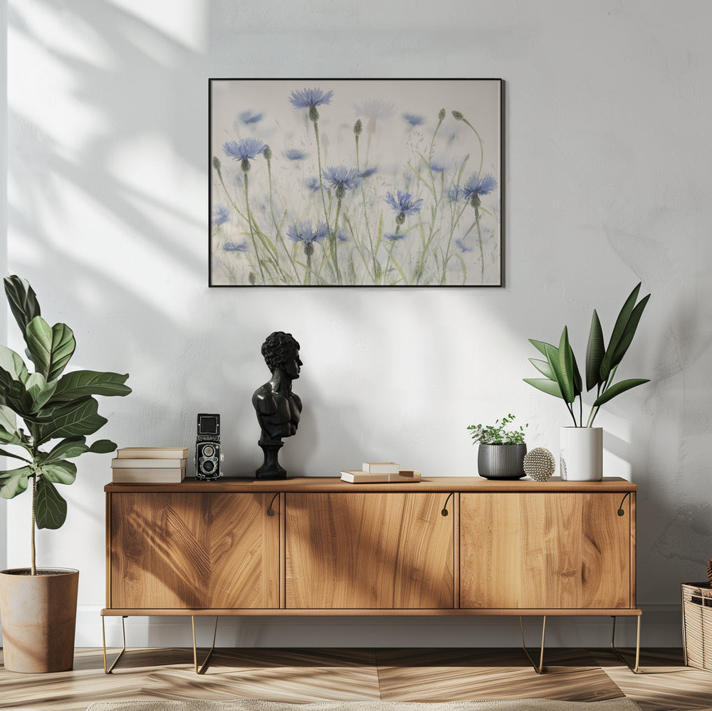 Plakat - Cornflowers