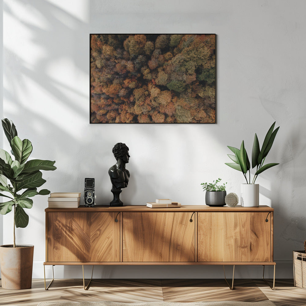 Plakat - Autumn Forest 07
