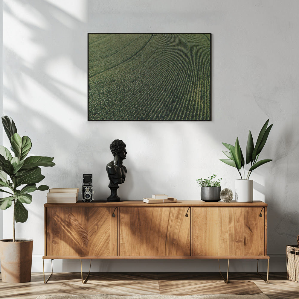 Plakat - Corn Fields 01