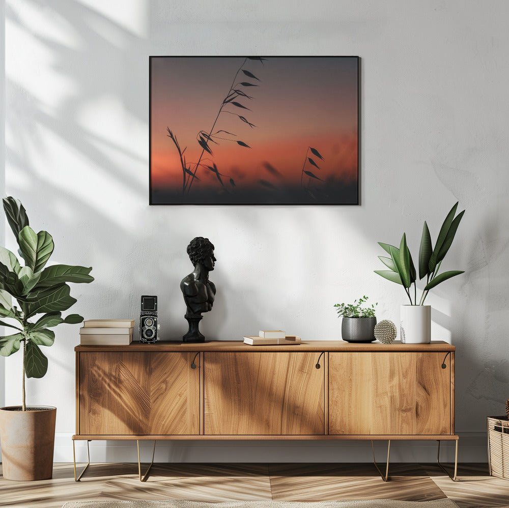 Plakat - Sunset grass filelds 03