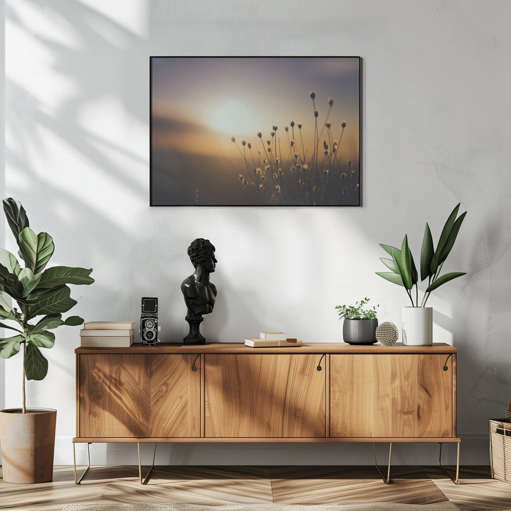 Plakat - Morning Grass Filelds 15