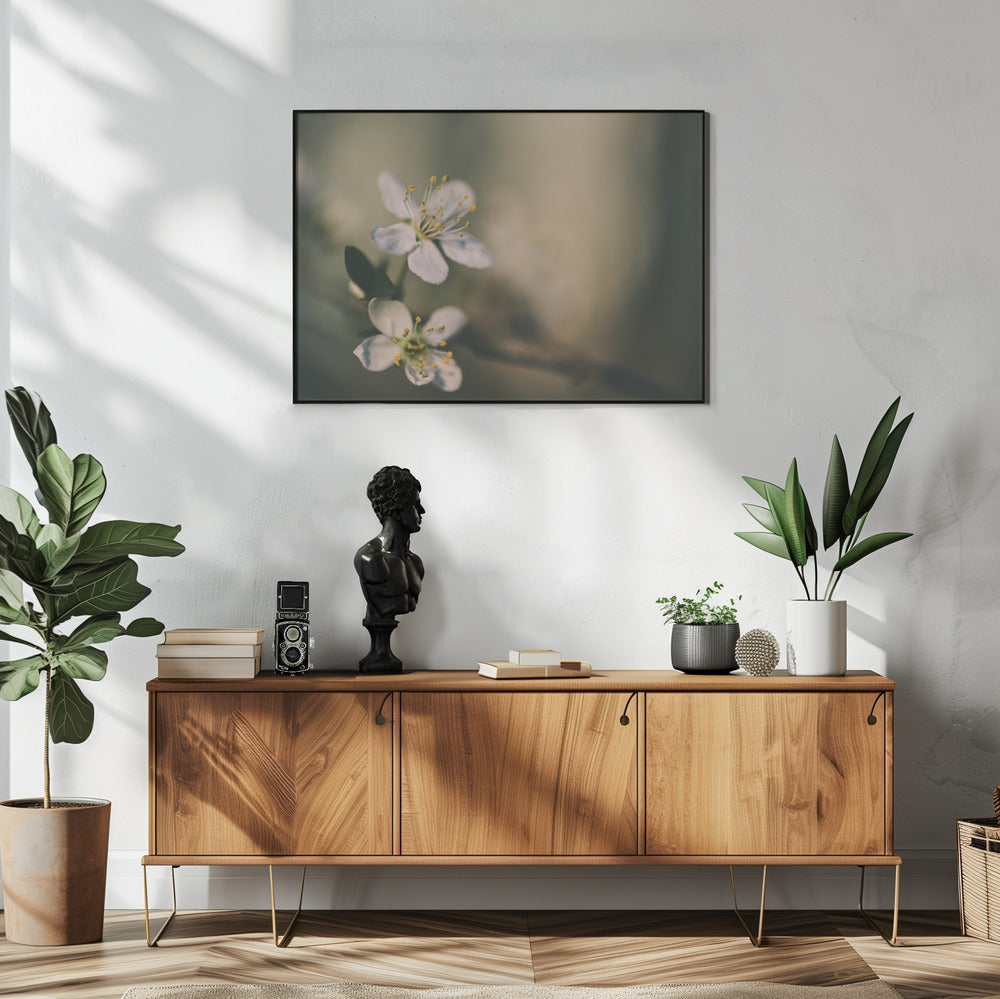 Plakat - White Flowers 6