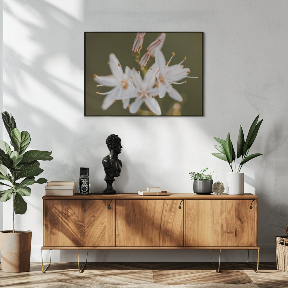 Plakat - White Flowers 10