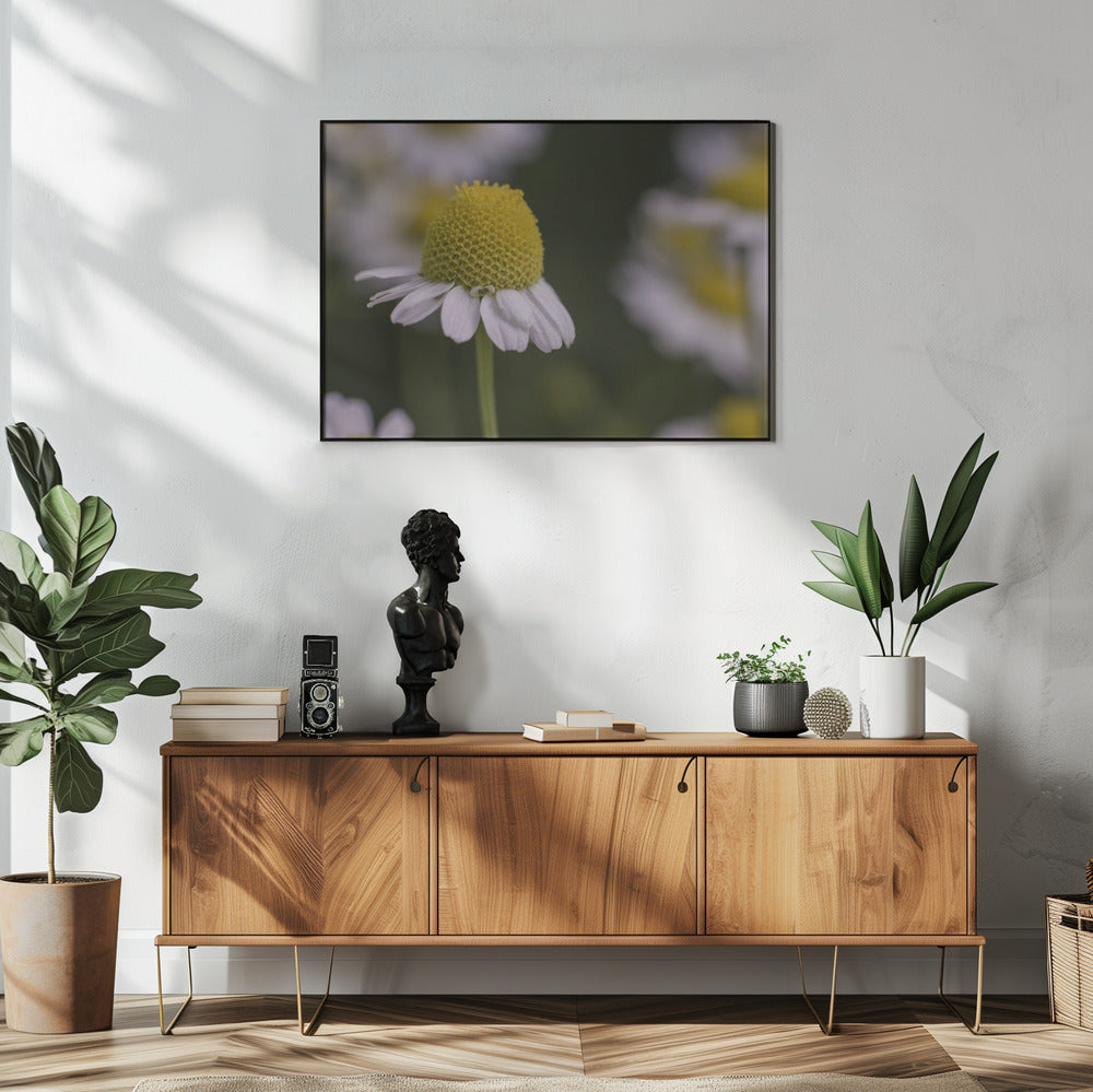 Plakat - Summer Flowers 7