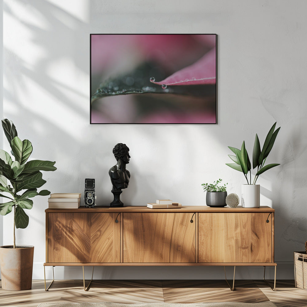 Plakat - Summer Flowers 61 - Admen.dk