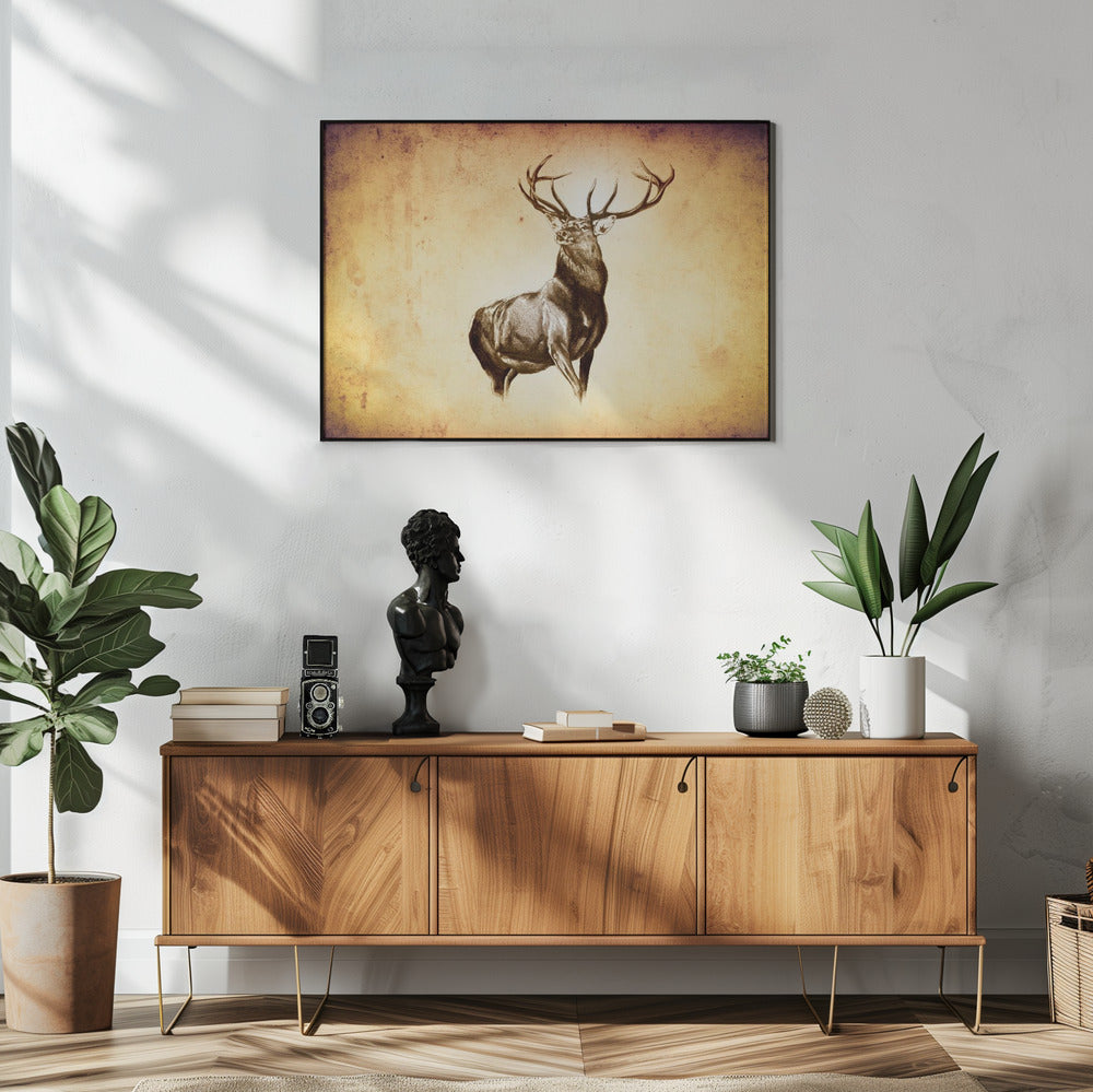 Plakat - Red Deer 11