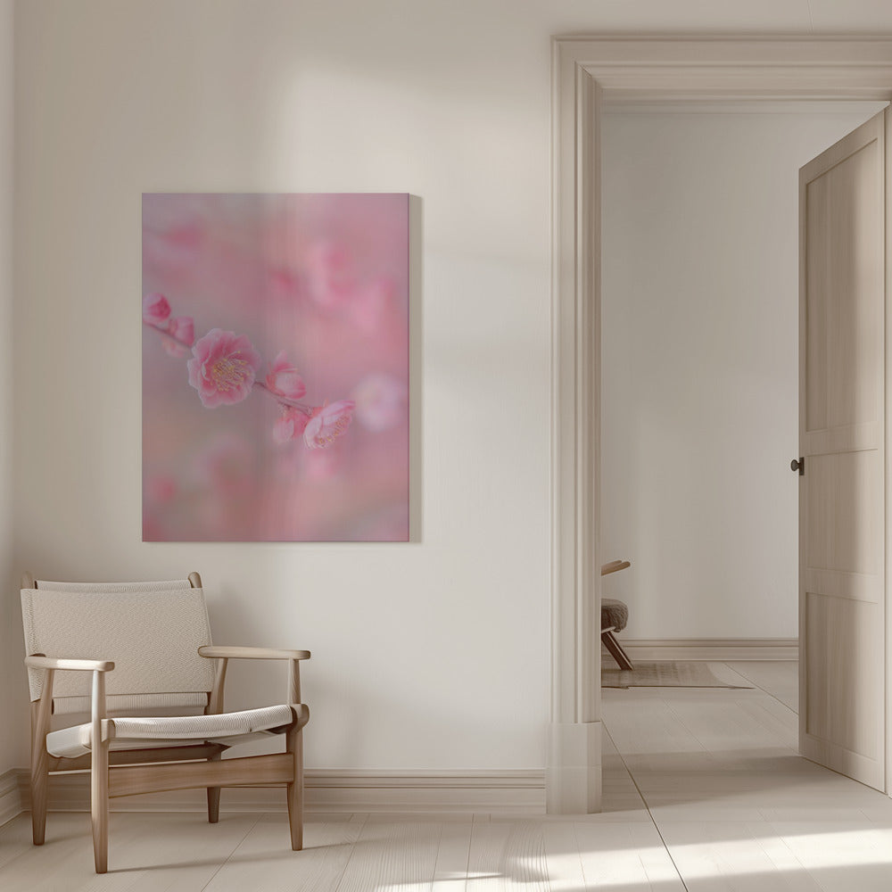 Canvas - pink colorful