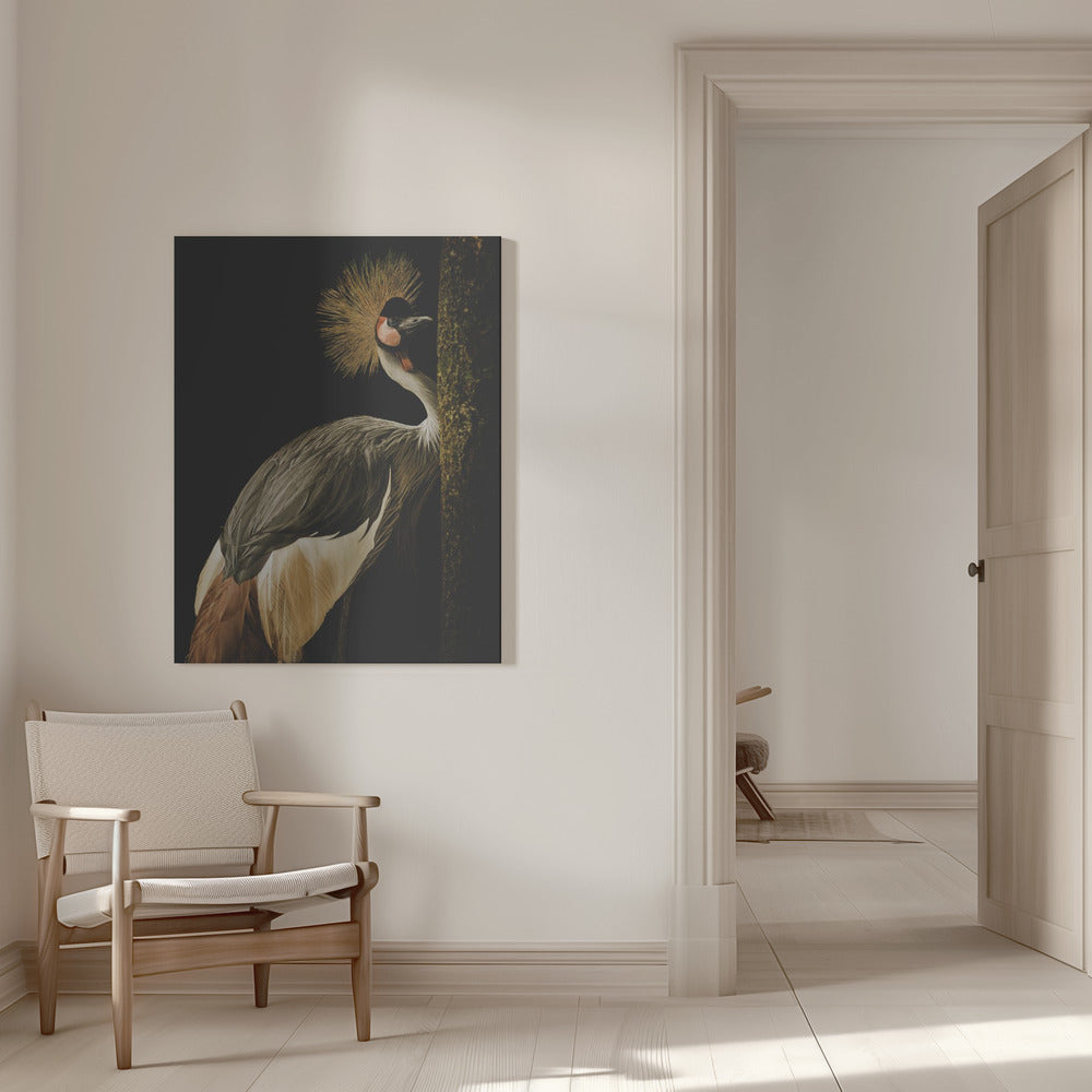 Canvas - Grey Crowned Crane