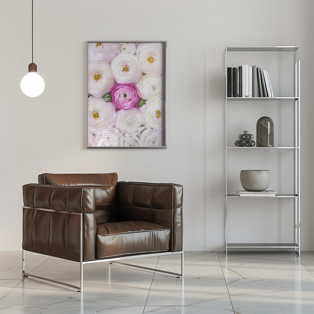 Plakat - Singular ranunculus in hot pink