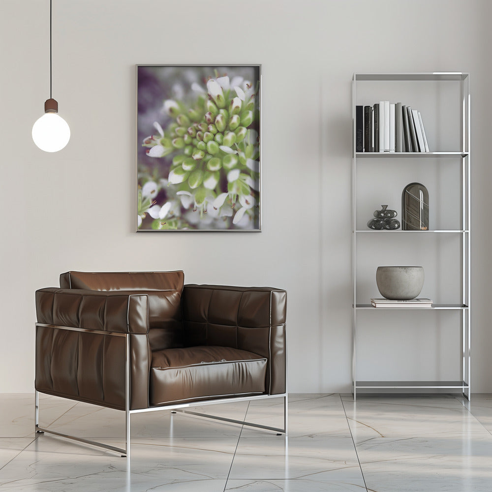 Plakat - Cluster II