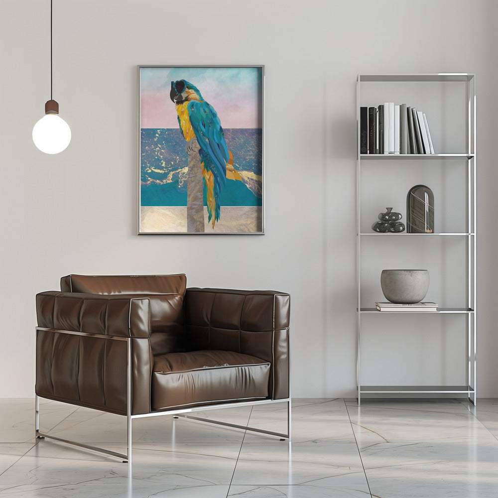 Plakat - Macaw On Holiday 01