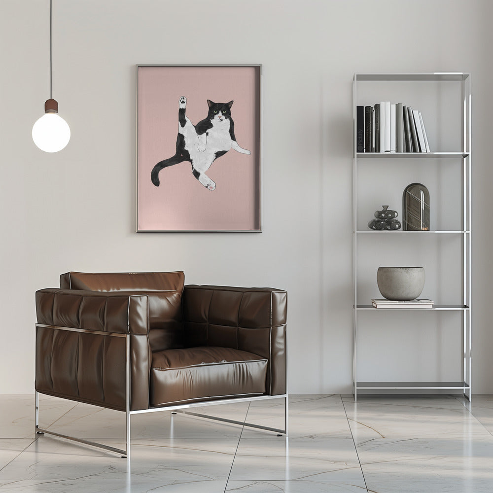 Poster - Sassy Cat